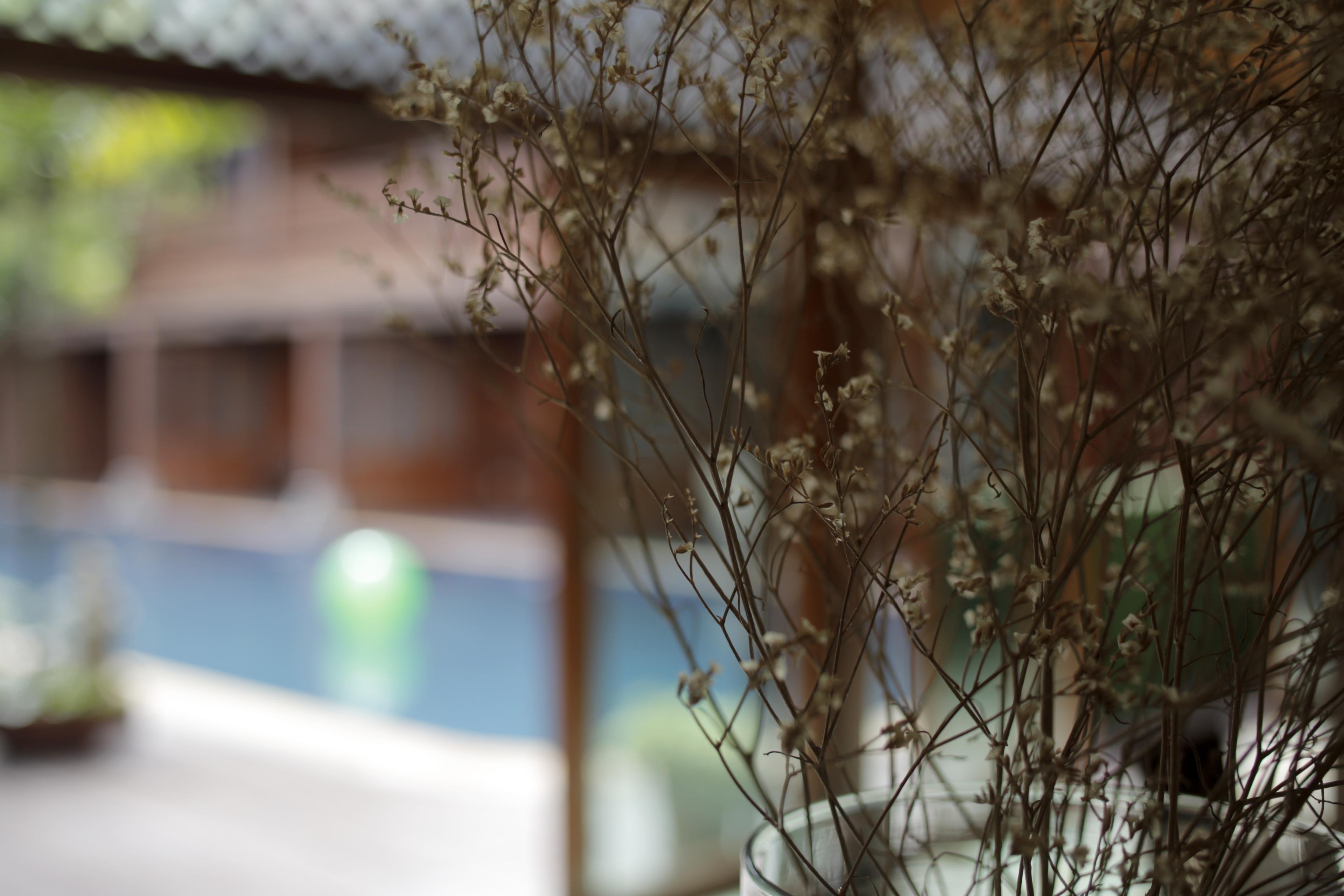 Baan U Sabai Boutique House-Sha Plus Chiang Mai Exteriör bild